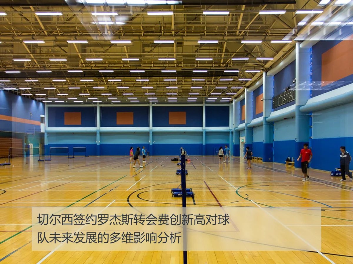 切尔西签约罗杰斯转会费创新高对球队未来发展的多维影响分析